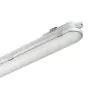 Philips Stagna LED CoreLine WT120C Gen2 57W 8000lm - 840 Bianco Freddo | 150cm